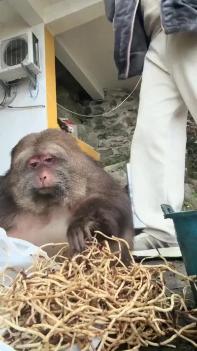 Чего вкусненького принёс?