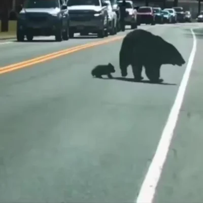 Не торопитесь, мы подождем