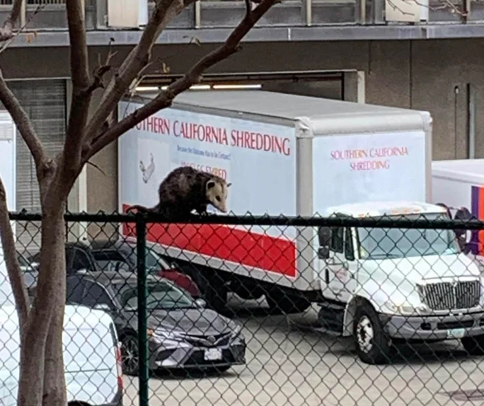 17 фотографий, над которыми придётся поломать голову