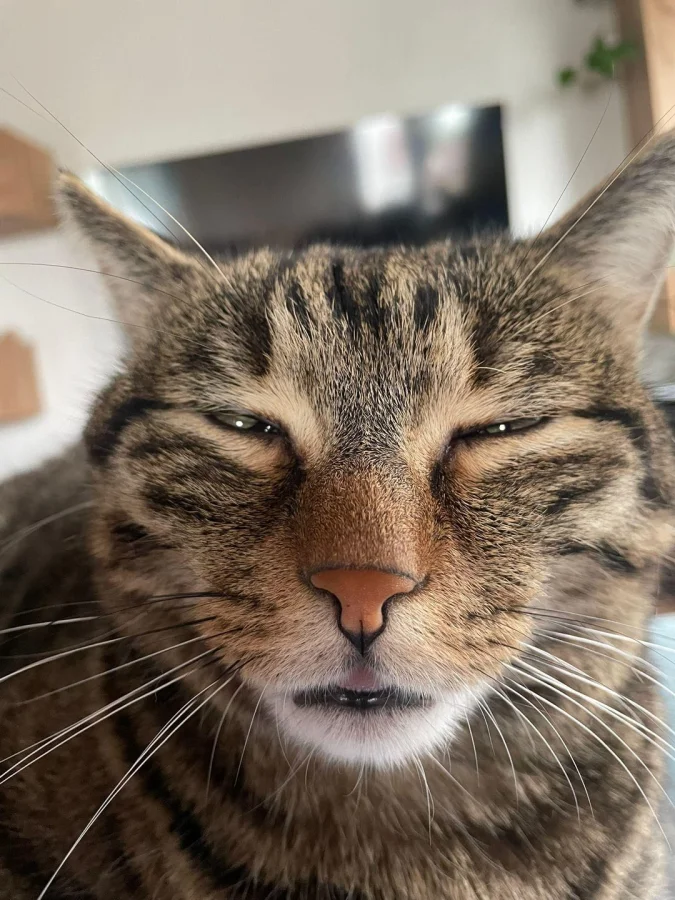 Чему нас могут научить вязальщицы: 20 навыков от шерстяных гуру