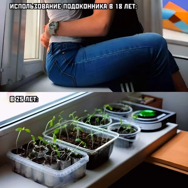 Актуально и свежо: Прикольные картинки