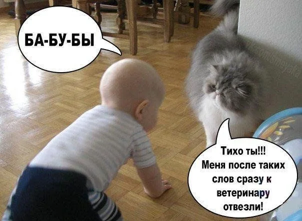 Актуально и свежо: Прикольные картинки