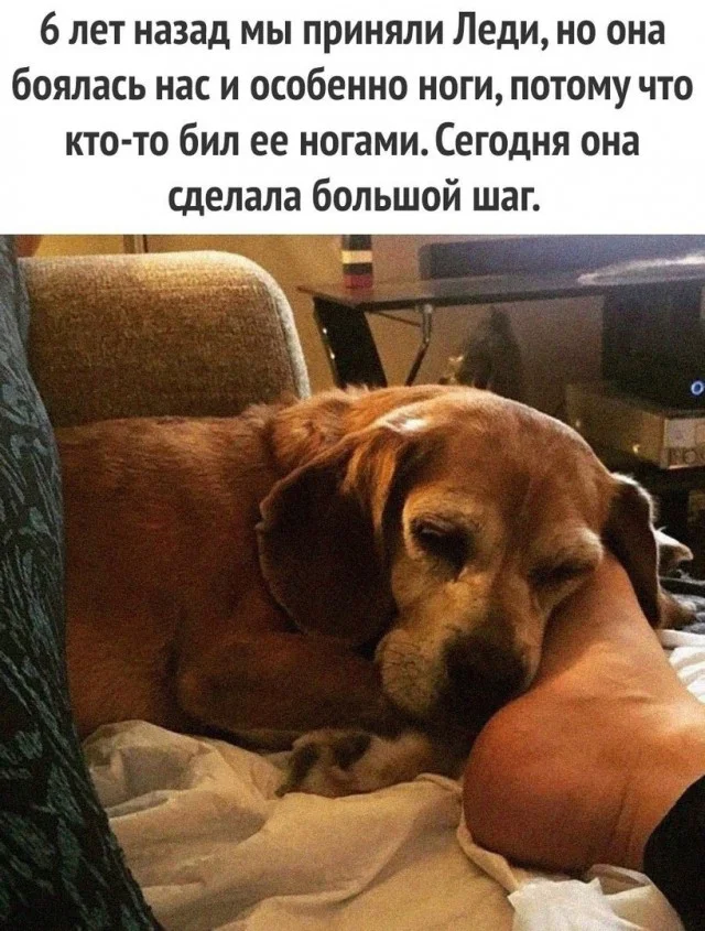 Легко и свежо: Прикольные картинки