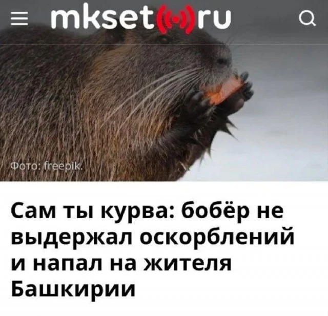 Легко и свежо: Прикольные картинки