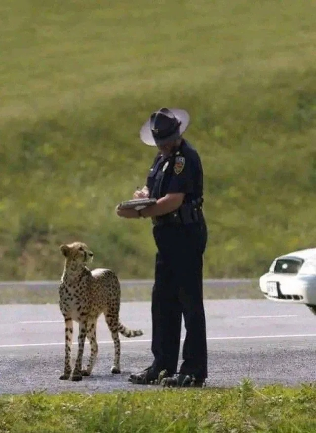 Куда смешней-то? Прикольные картинки