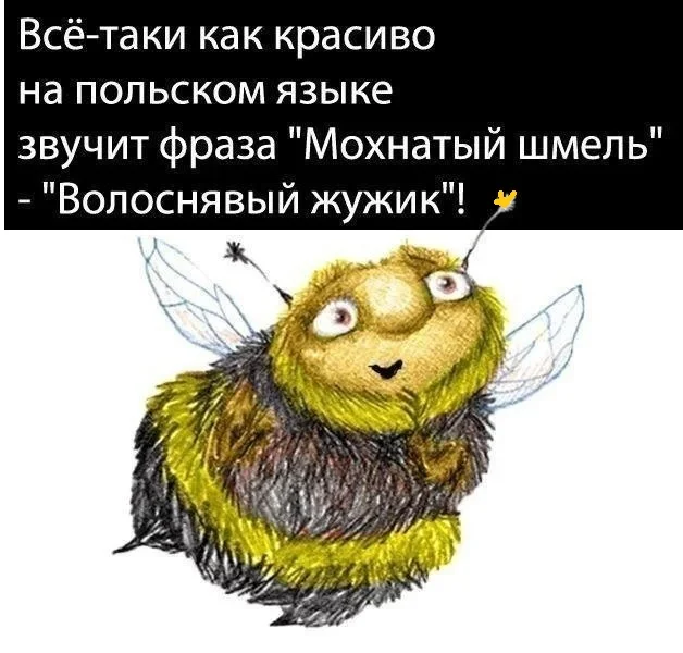 Разные картиночки