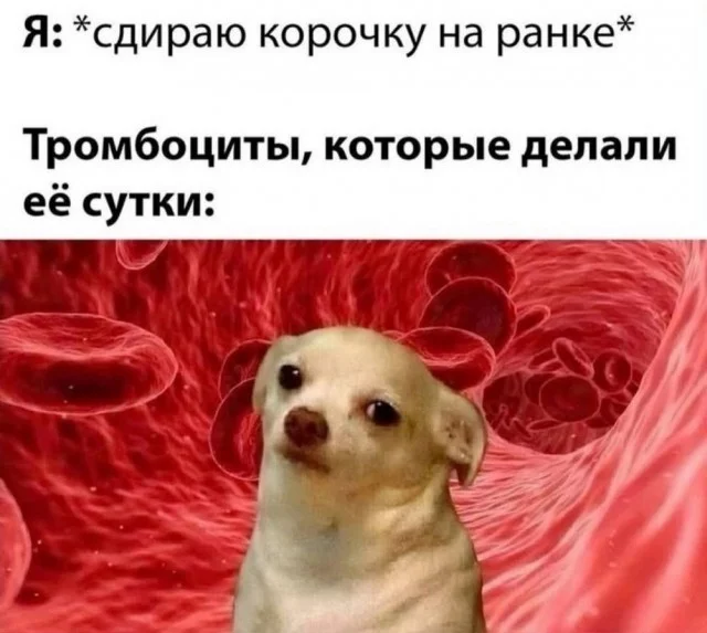 Кайф, а не прикольные картинки