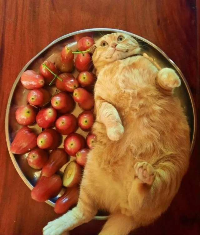 Изображения