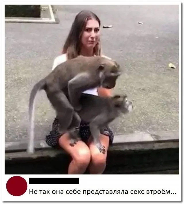 Смешные прикольчики