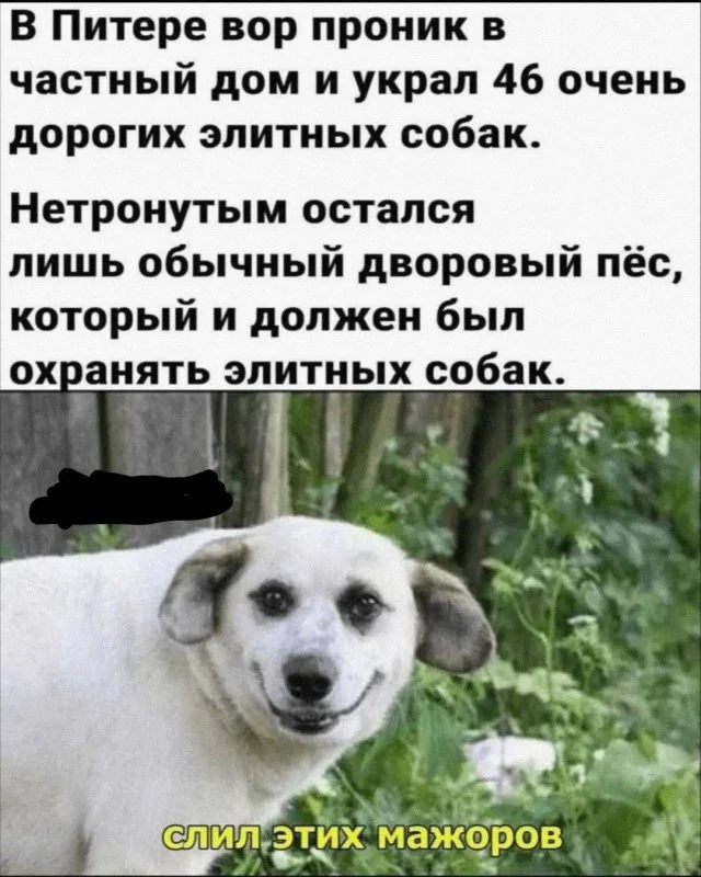 Оборжака! Веселые картинки!