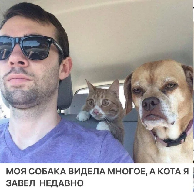 Никчемные картинки