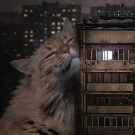 Веселые и смешные картинки