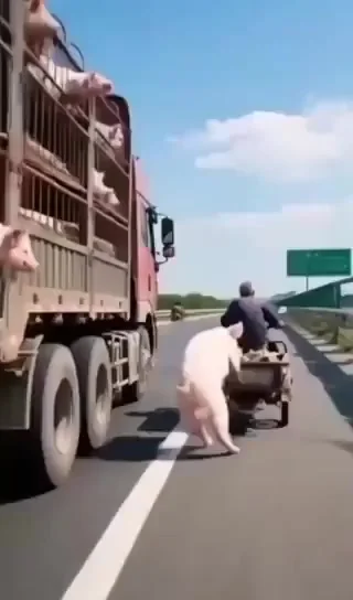 Неудержимый