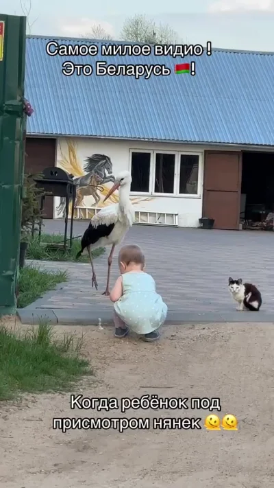 Сами принесли, сами пусть и воспитывают...