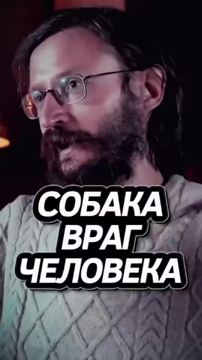 Дробышевский собаки наши враги