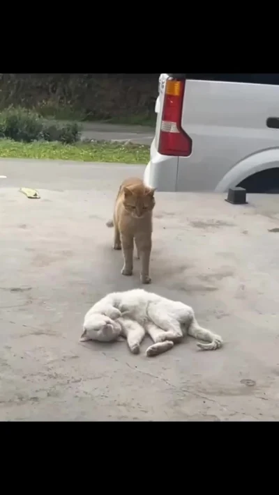 Я некоторых таких людей знаю
