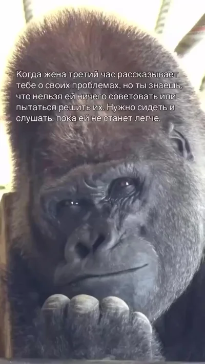Когда учишься правильно поддерживать