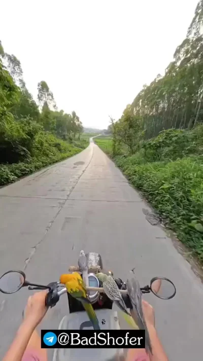 Красота
