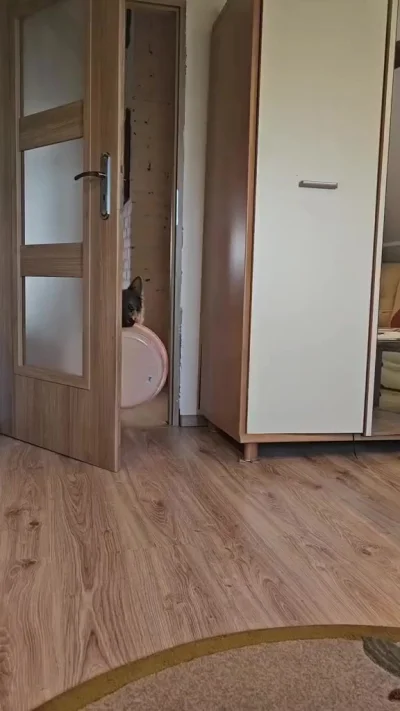 Немножко подрос