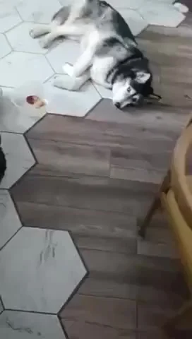 Аппетит вернулся