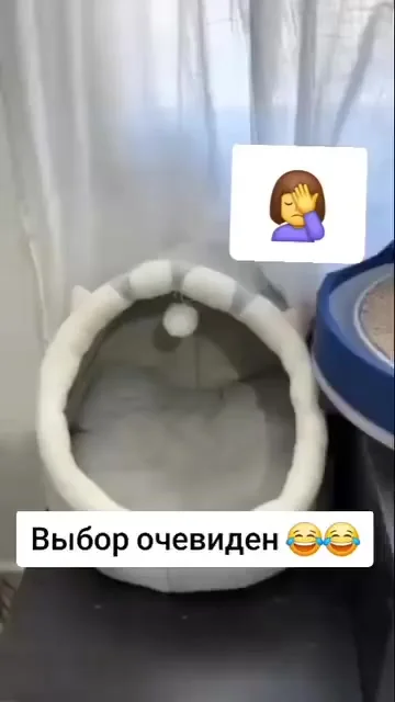 Нашли лежанку по душе