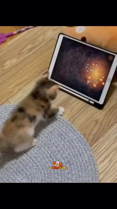 Суровые тренировки будущего охотника