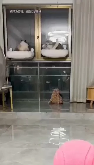Что ты знаешь о невезении?