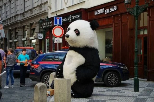 Намешалось: Красивые и интересные картинки