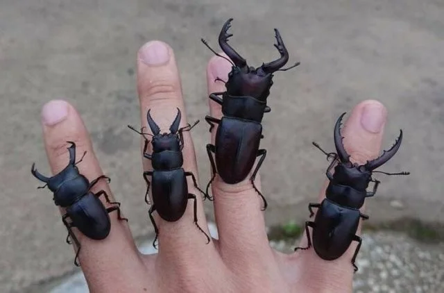 Немного намешалось