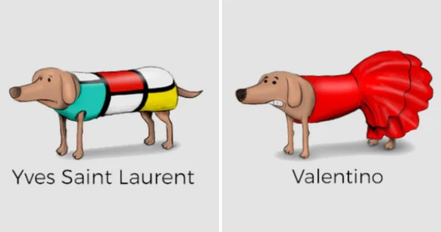 Модные наряды для собак от известных брендов