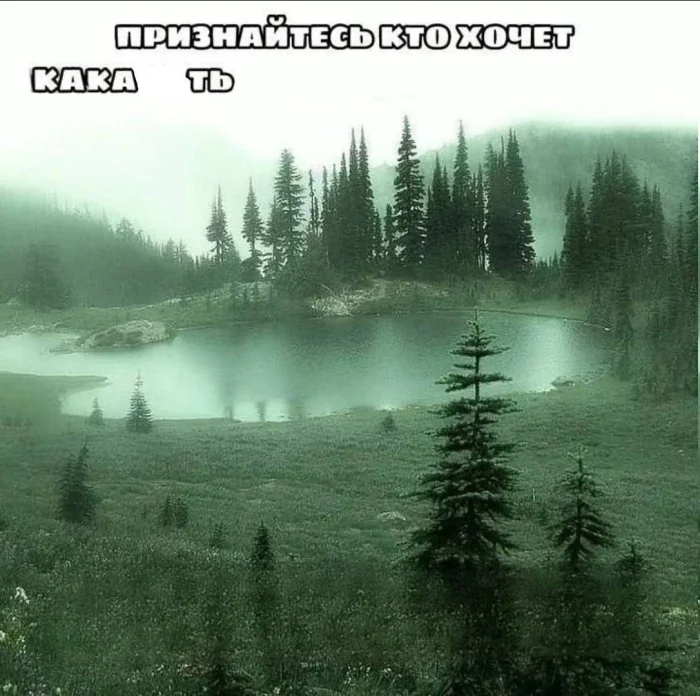 Нестандартный юмор #367