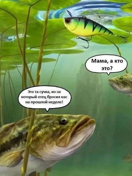 Нестандартный юмор #369