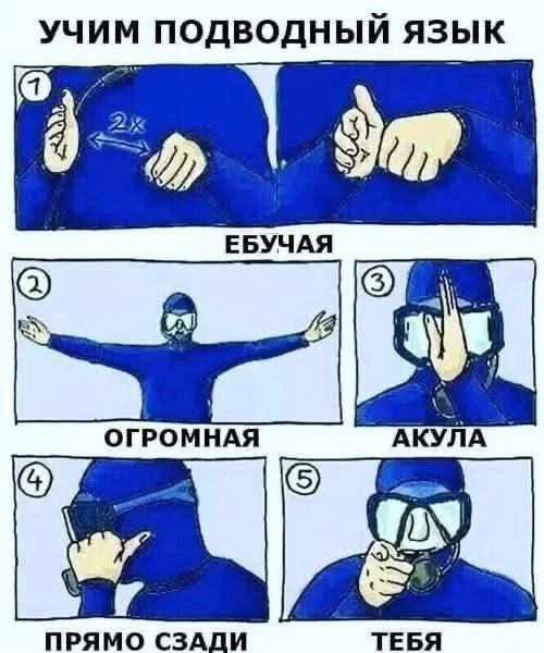 Нестандартный юмор #370