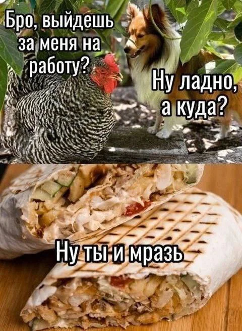 Нестандартный юмор #393
