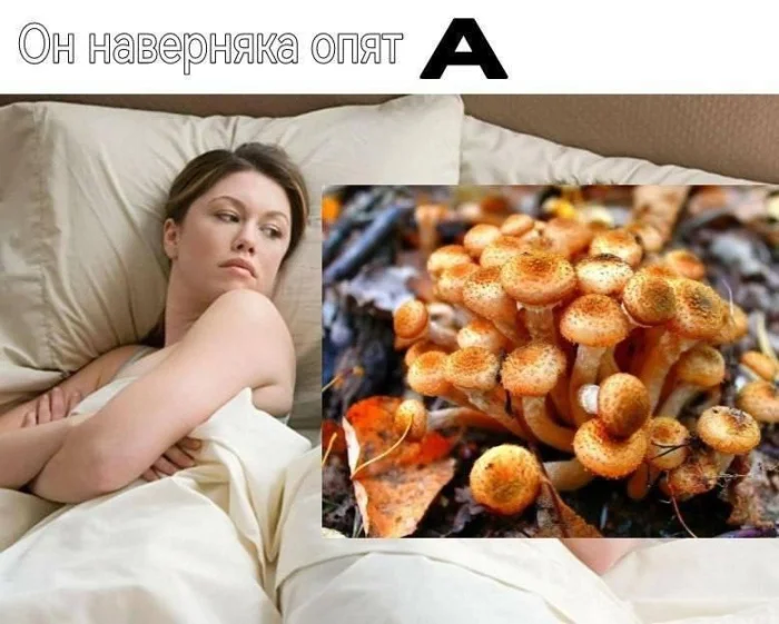 Нестандартный юмор #396