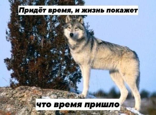 Нестандартный юмор #405