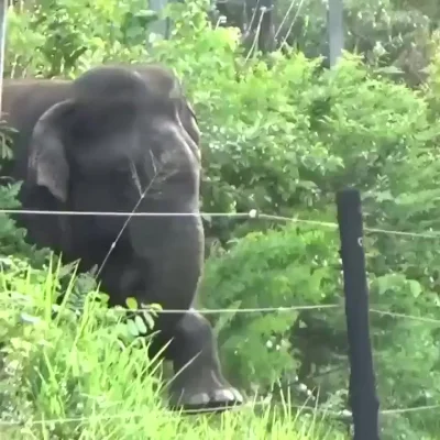 Шандарахнет? Нет? Прём на пролом!