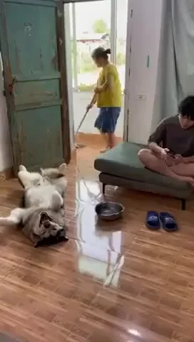 Уборка помещения