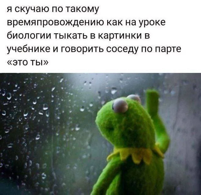 Смешные скрины из соцсетей #41