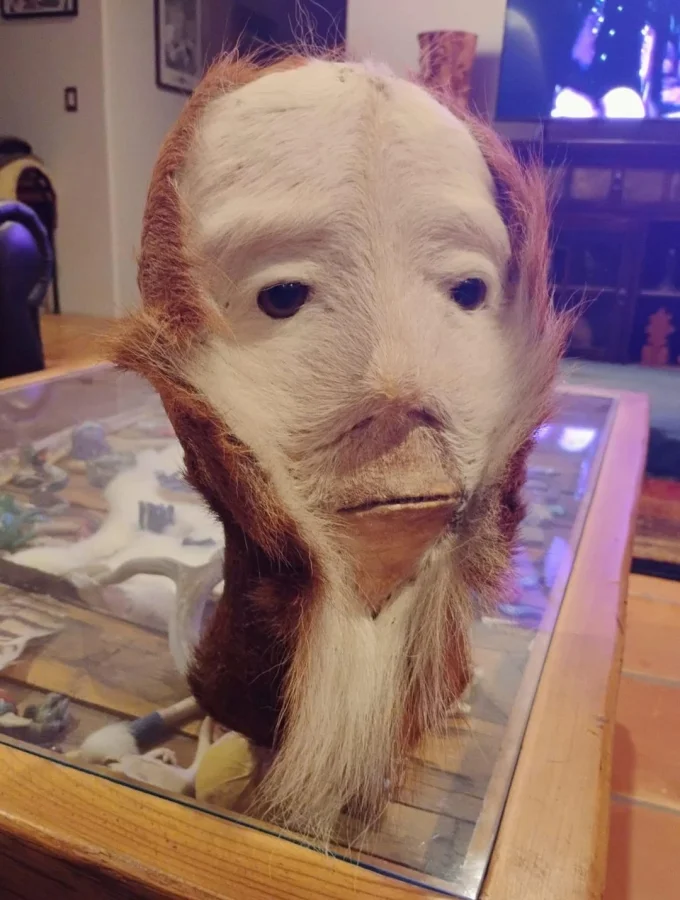 Таксидермия не для слабонервных: 30 пугающих и странных экспонатов