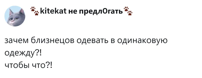 Почему близнецов одевают одинаково? Пользователи гадают: традиция или абсурд