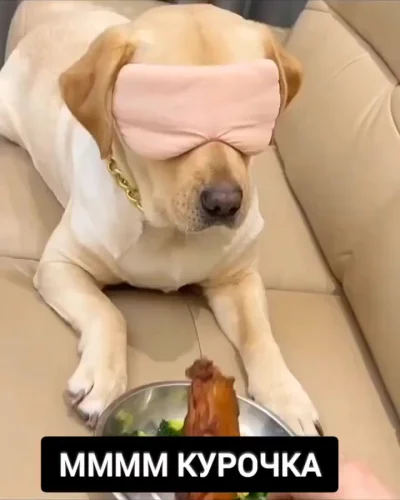 Обман