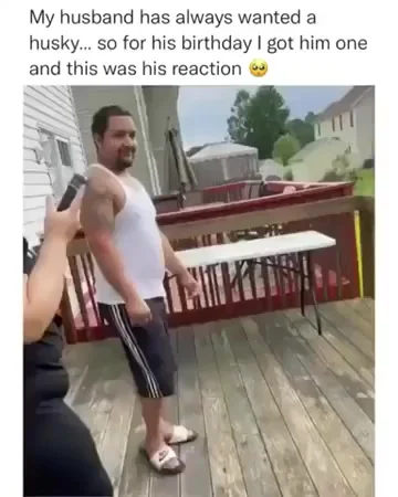Желанный подарок