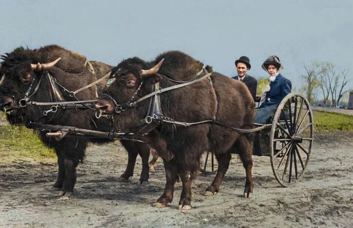 Ретропутешествие во времени: 20 цветных фото XIX века, оживших на ваших глазах