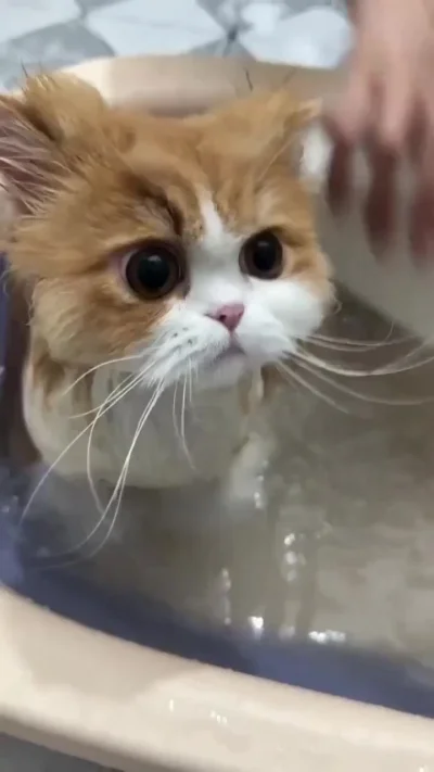 Ну что за милый ребенок