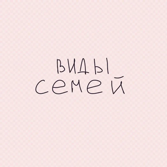 Разнообразие семейных типов