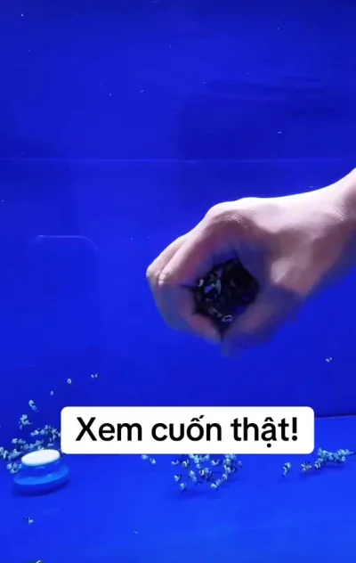Немовская группировка...