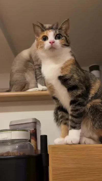 А мы есть будем?