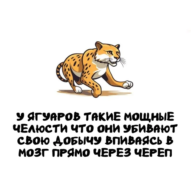 Факты, которые стоит знать каждому