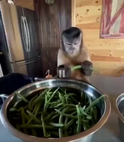 С выражения лица этой Золушки угораю )))